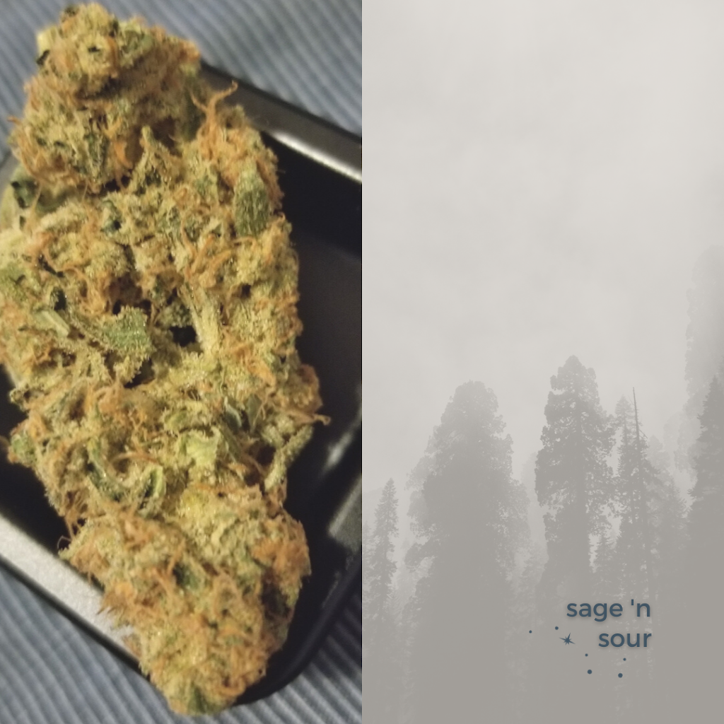 Big Sky Cannabis | store | 9919 Fairmount Dr SE Unit 130, Calgary, AB T2J 0S3, Canada | 4038001108 OR +1 403-800-1108