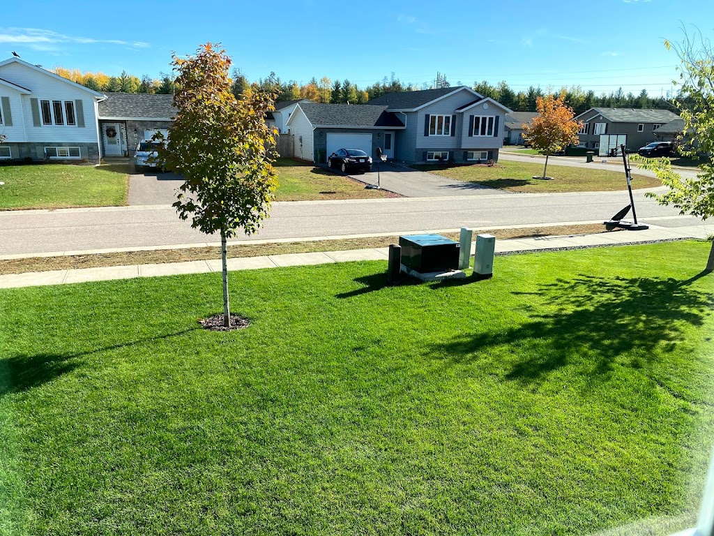 Winter Summer Solutions | 13 Water Tower Rd, Petawawa, ON K8H 2W8, Canada | Phone: (613) 687-0444