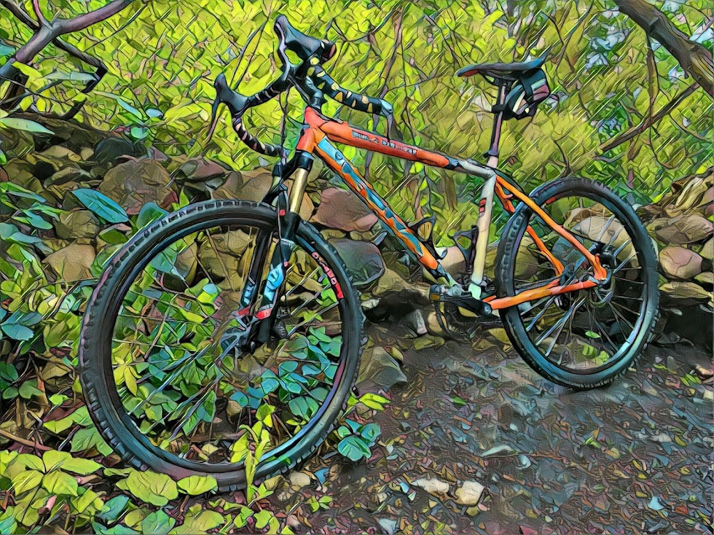Gremlins Bicycle Emporium | 42 Adelaide St N, London, ON N5Z 1J6, Canada | Phone: (226) 884-4869