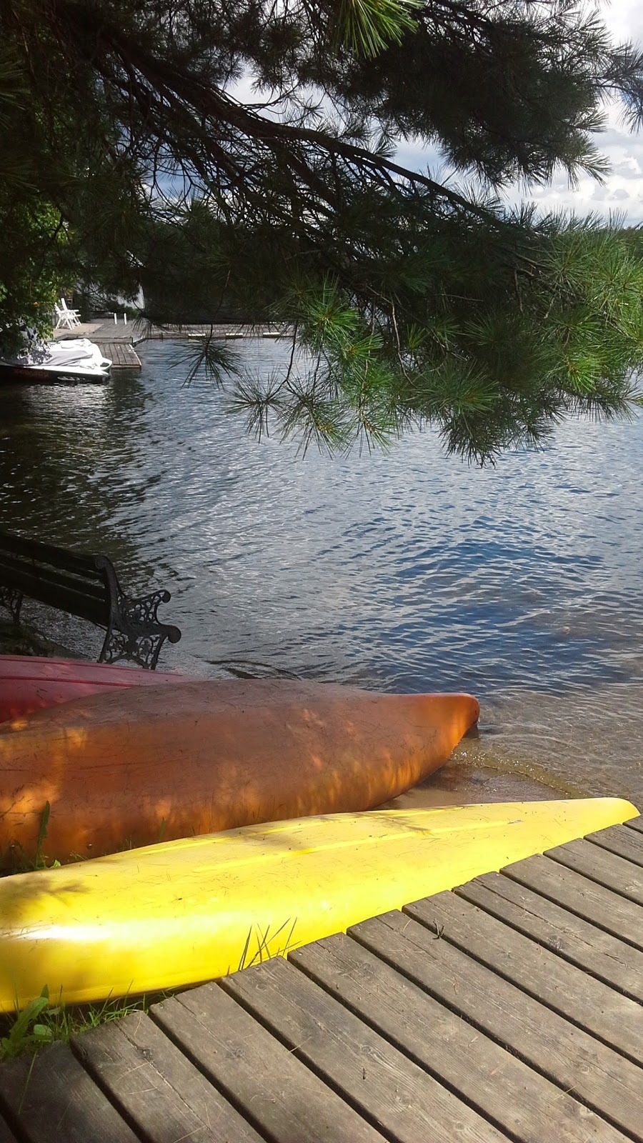 Blue Mountain Marina | 124 Blue Mountain Rd #338, Lakefield, ON K0L 2H0, Canada | Phone: (705) 877-2159