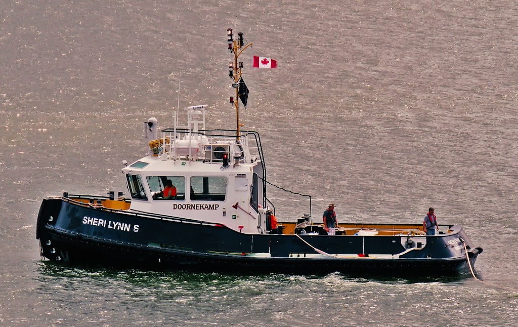 Picton Terminals | 24 White Chapel Rd, Prince Edward, ON K0K 2T0, Canada | Phone: (613) 471-1112