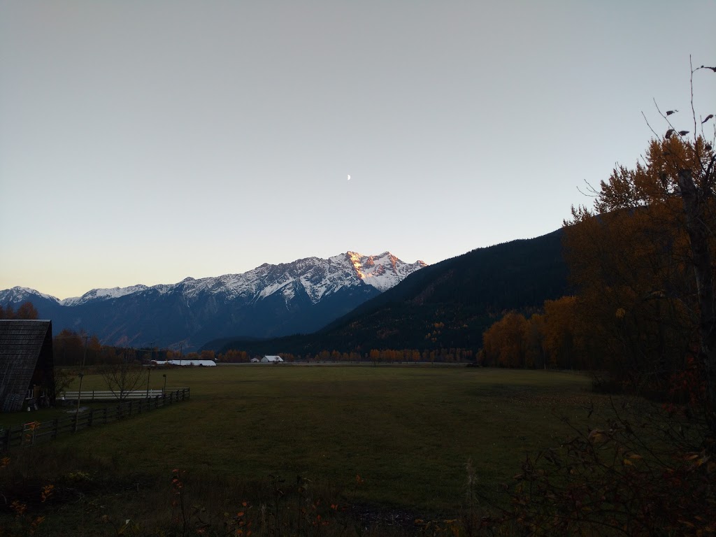 Bandit Farms | 1427 Collins Rd, Pemberton, BC V0N 2L0, Canada | Phone: (604) 809-9333