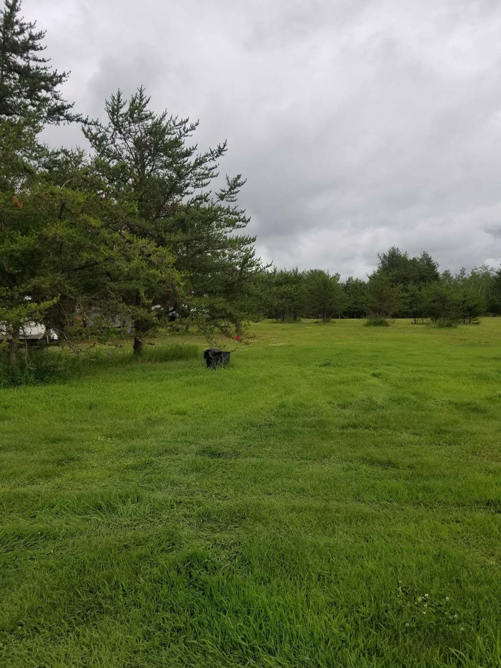 Buckridge Campground | 1S0, Range Rd 242, Nestow, AB T0G 1S0, Canada | Phone: (780) 349-1421
