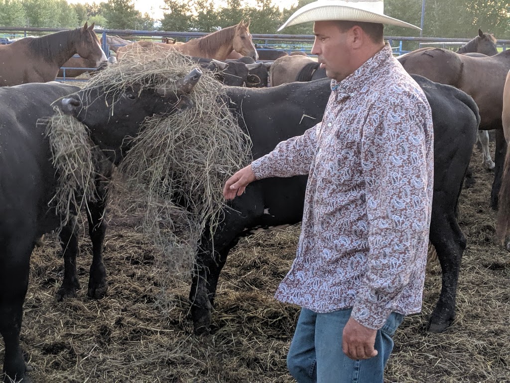 Smoky Lake Stampede | 17322 Township 594 Box 719, Smoky Lake, AB T0A 3C0, Canada | Phone: (780) 650-2040