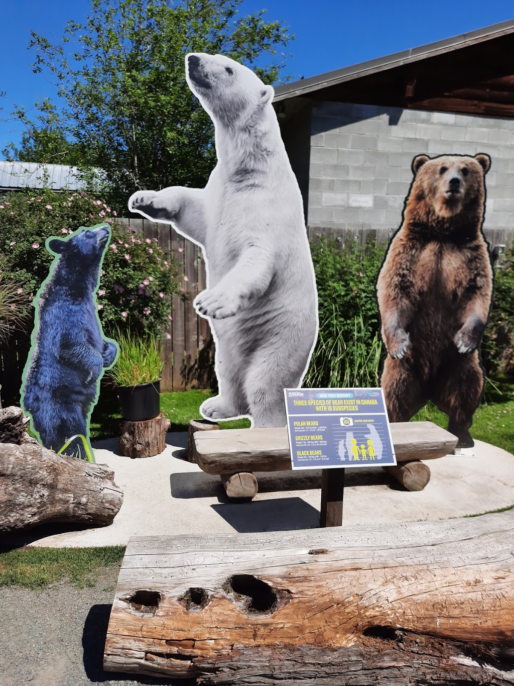 North Island Wildlife Recovery Centre | 1240 Leffler Rd, Errington, BC V0R 1V0, Canada | Phone: (250) 248-8534