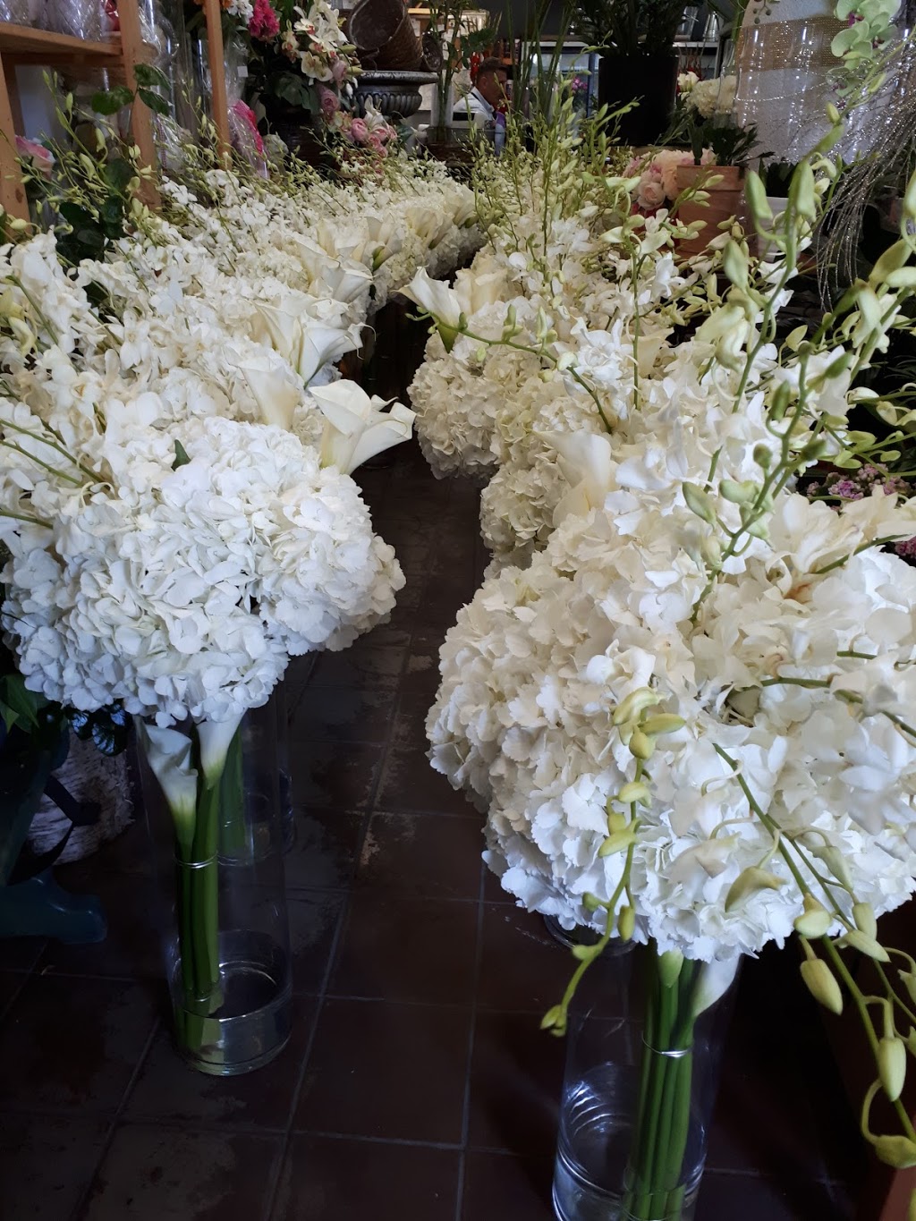 Fleuriste Elie (Mon) | 2555 Rue de Salaberry, Montréal, QC H3M 1L1, Canada | Phone: (514) 856-1247