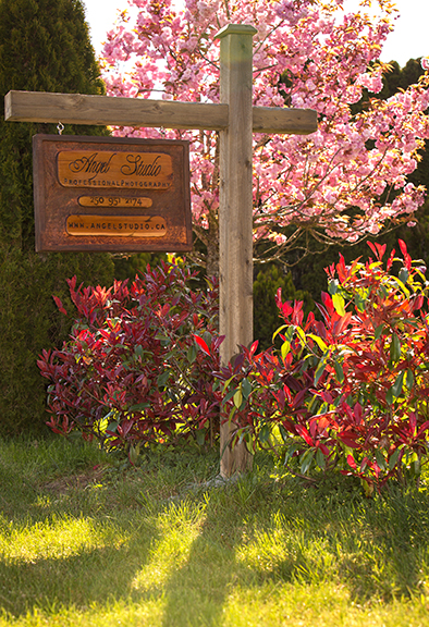 Angel Studio | 462 Harnish Ave, Parksville, BC V9P 1J1, Canada | Phone: (250) 951-2174