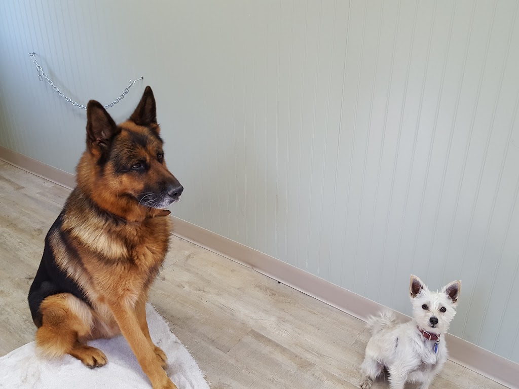 Errington Pet Lodge | 1227 Bowlby Rd, Errington, BC V0R 1V0, Canada | Phone: (250) 248-3637