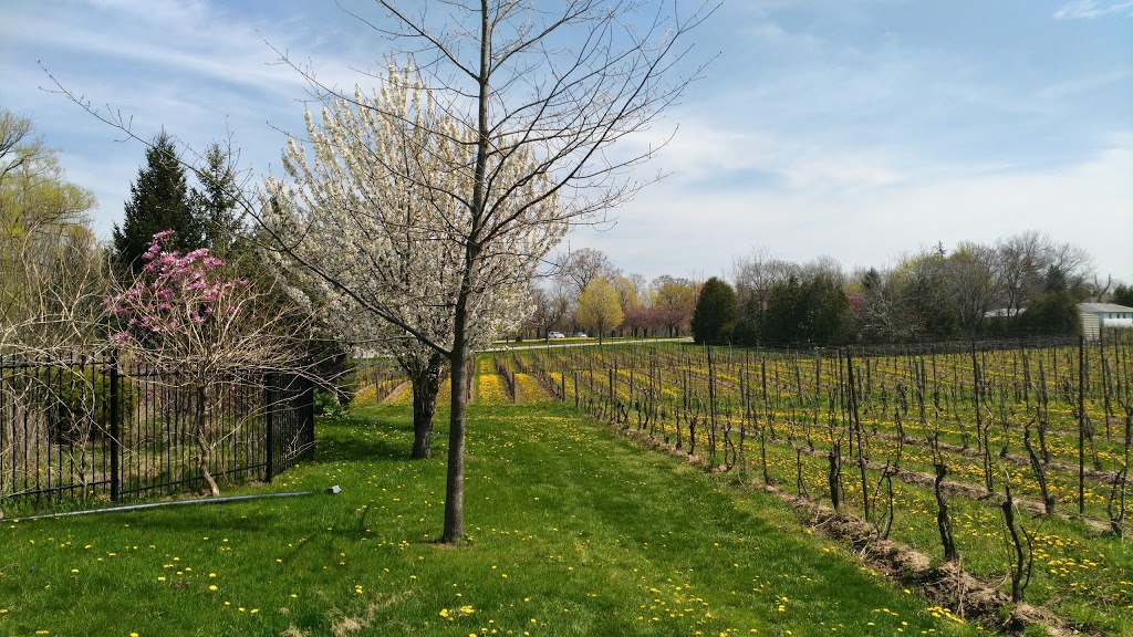 A La Gallarie | 14902 Niagara Pkwy RR#1, Niagara-on-the-Lake, ON L0S 1J0, Canada | Phone: (905) 651-2835