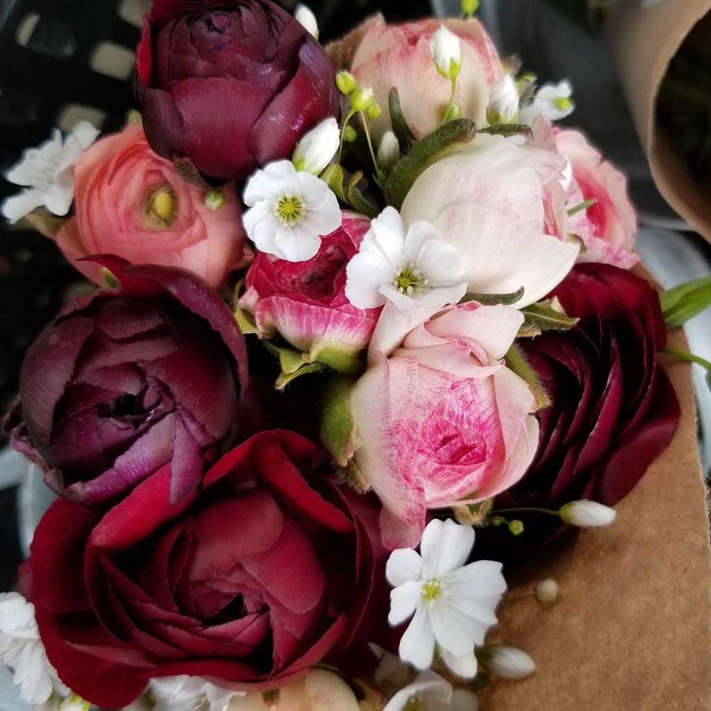 Fleurs de ferme | rang 8, Sainte-Christine, QC J0H 1H0, Canada | Phone: (450) 521-8931