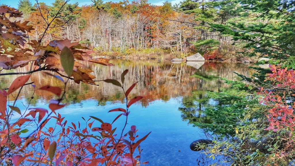 Frog Pond Park | Purcells Cove Rd, Halifax, NS B3P, Canada