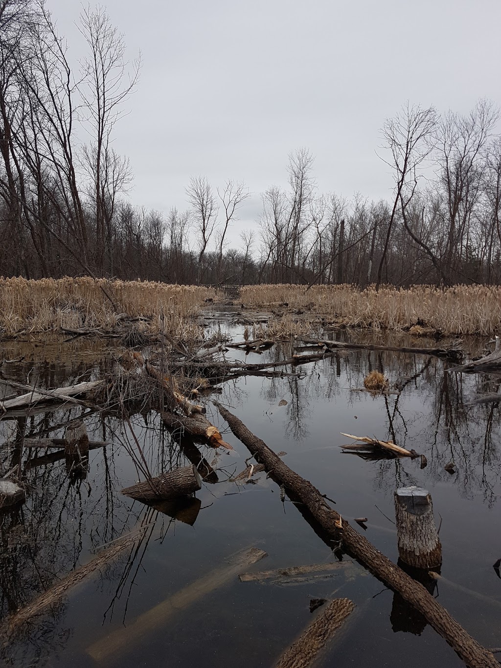 Pike Lake Nature Trail | Vanscoy No. 345, SK S0K 1K0, Canada | Phone: (306) 933-6966