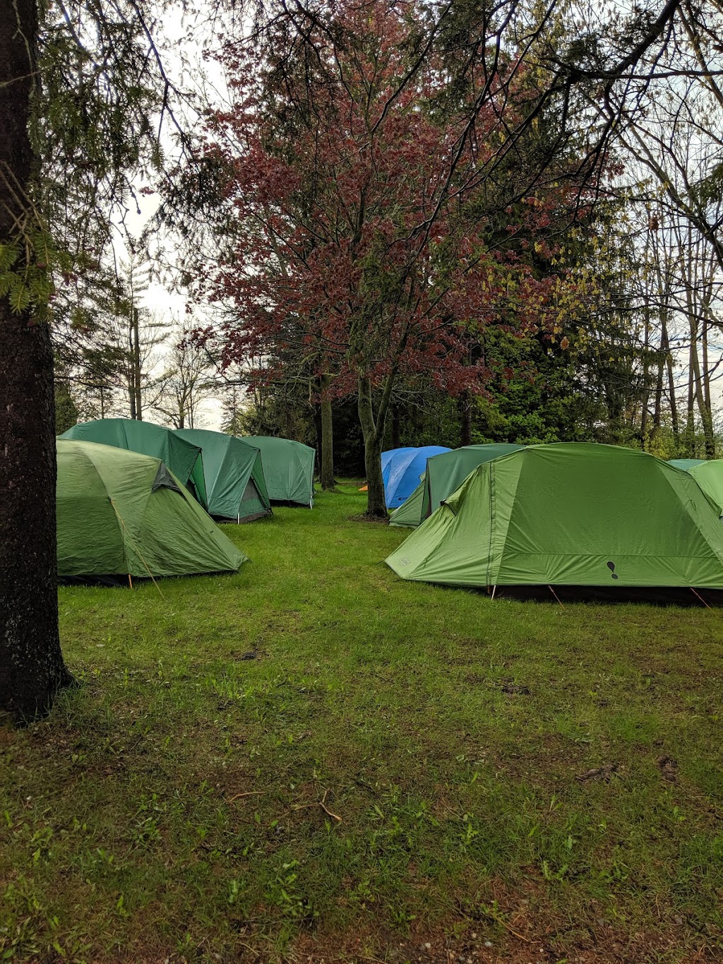 Everton Scout Camp | 5286 7 Line, Guelph/Eramosa, ON N0B 2K0, Canada | Phone: (519) 856-0651