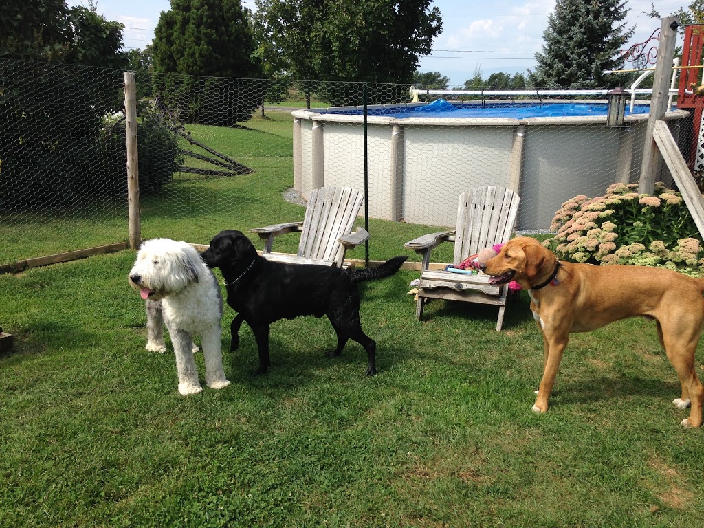 Gîte Canin chez Georges et Juliette | 418 Chemin Morin, LIslet, QC G0R 2B0, Canada | Phone: (418) 234-7320