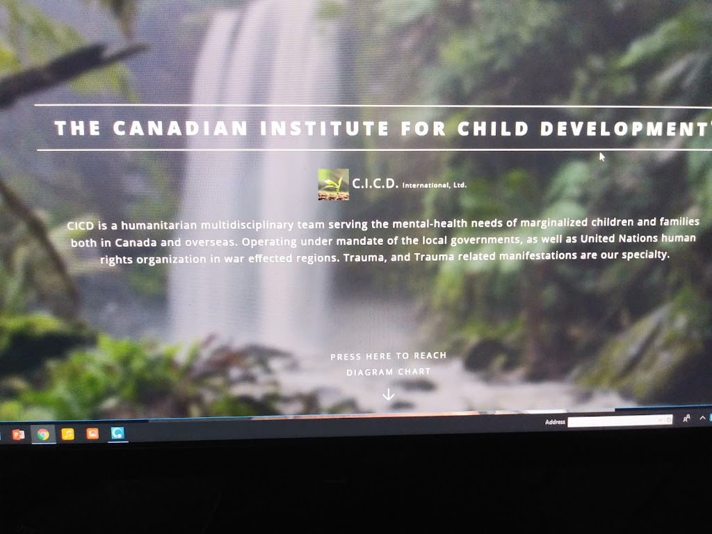 CICD IntL. | 1 Ave N #33, Big Valley, AB T0J 0G0, Canada | Phone: (403) 800-1578