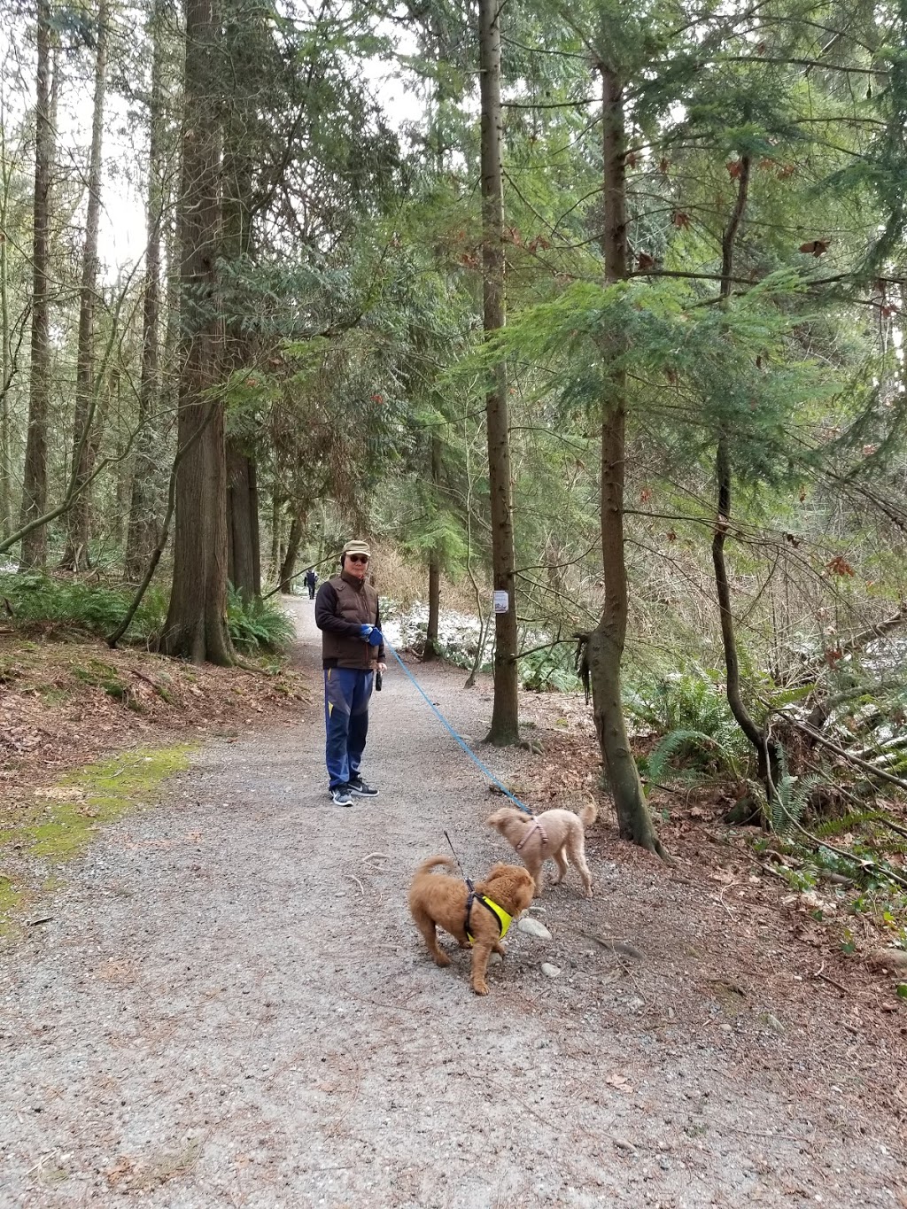 Byrne Creek Ravine Park | 6555 Byrnepark Dr, Burnaby, BC V5E 4L4, Canada | Phone: (604) 294-7450