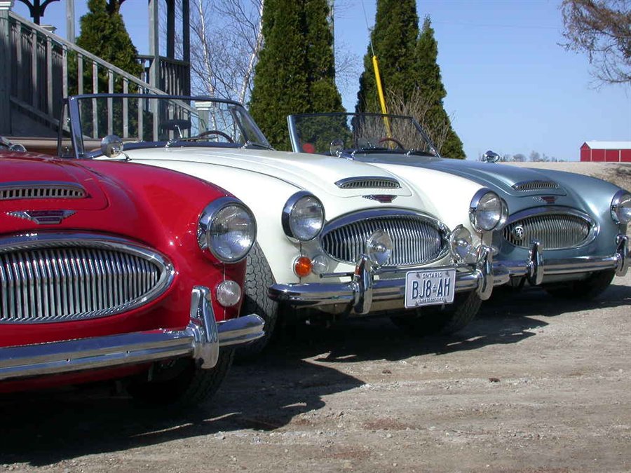 Autofarm Ltd | 6521 Line 66, Monkton, ON N0K 1P0, Canada | Phone: (519) 356-2427