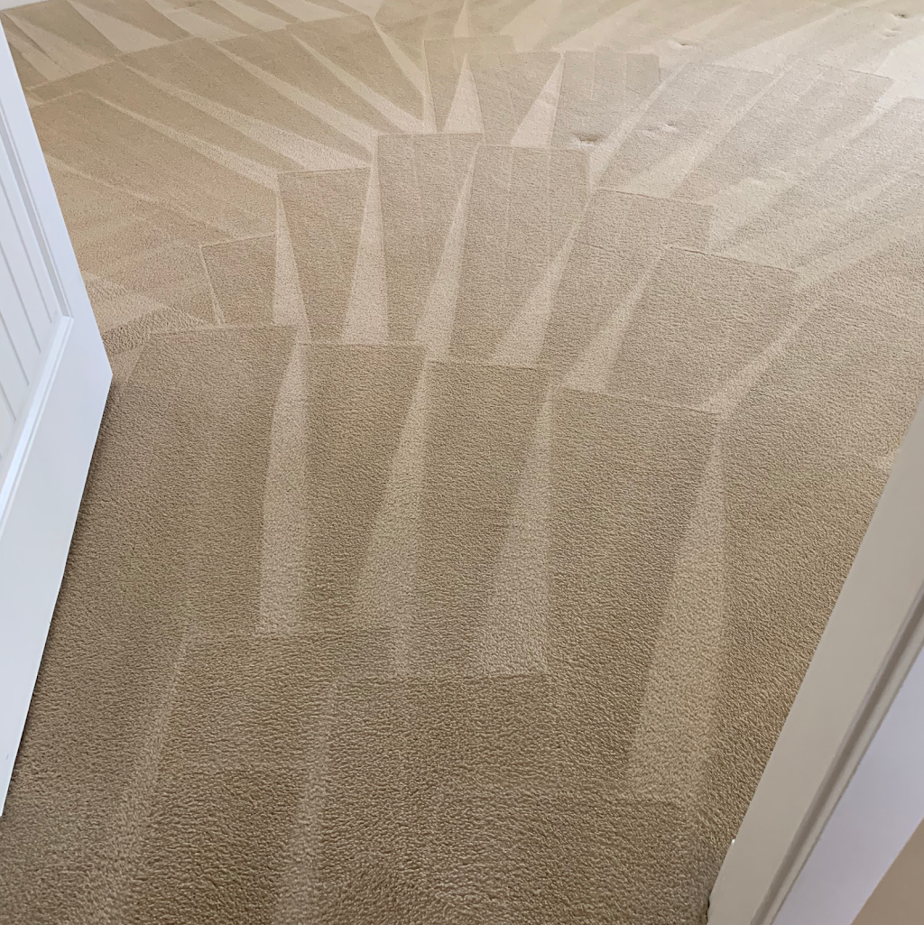 Williams Carpet Cleaning Coquitlam | 2044 Kugler Ave, Coquitlam, BC V3K 2S6, Canada | Phone: (604) 518-0878