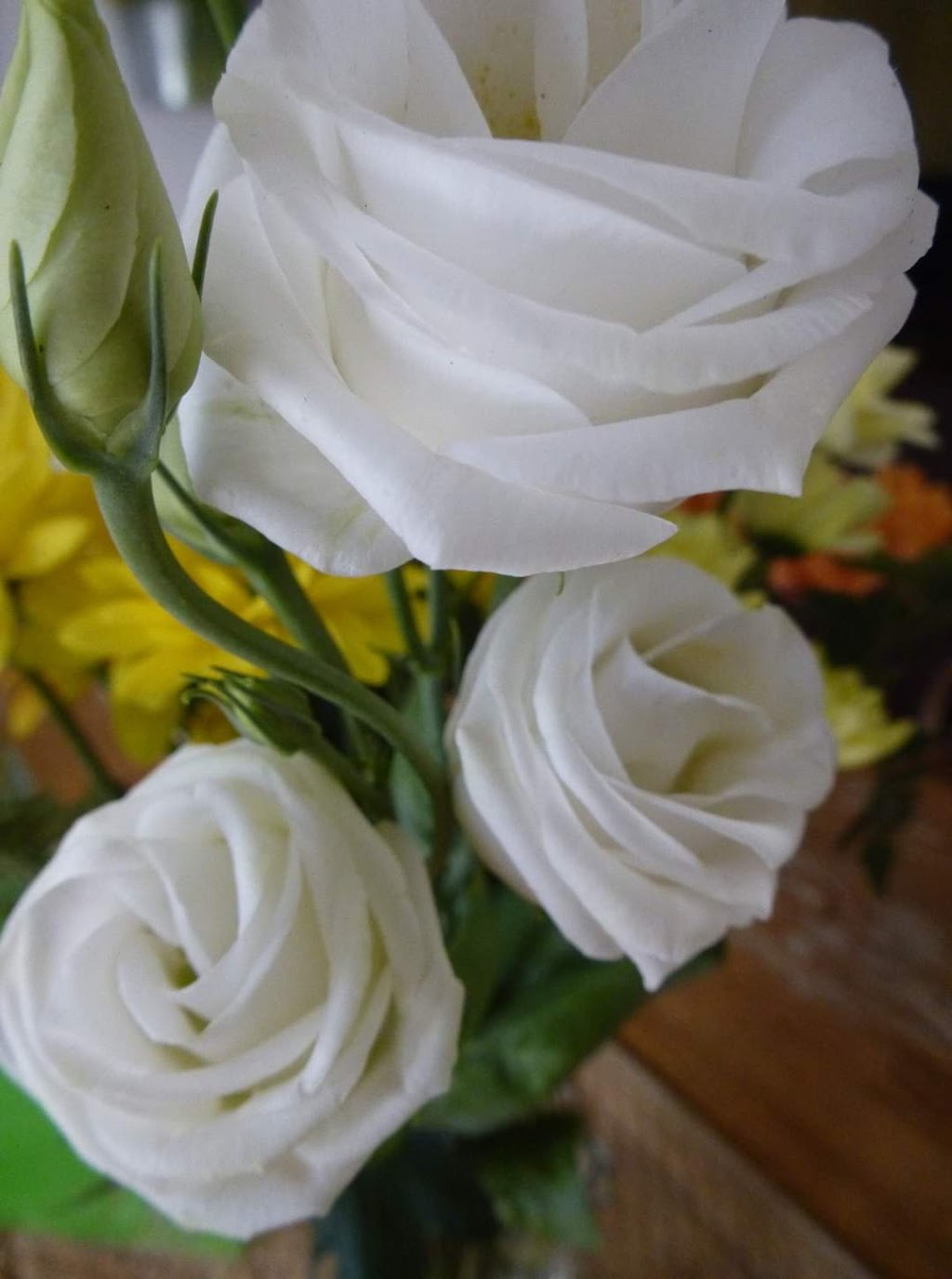 Bernard Tessier Fleuriste | 533 Rue Principale, Lachute, QC J8H 1Y6, Canada | Phone: (450) 562-2825