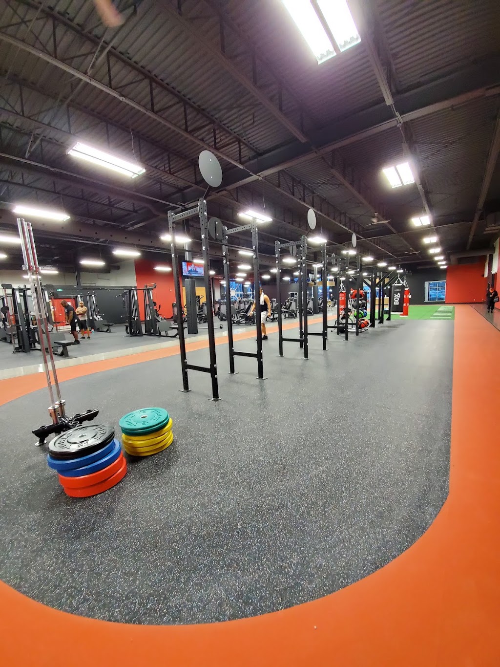World Gym Brossard | 7250 Boulevard Taschereau, Brossard, QC J4W 1M9, Canada | Phone: (450) 912-4300