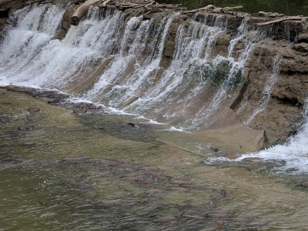 Waterworks Park | 2 S Edgeware Rd, St Thomas, ON N5P 2G8, Canada | Phone: (519) 633-7112