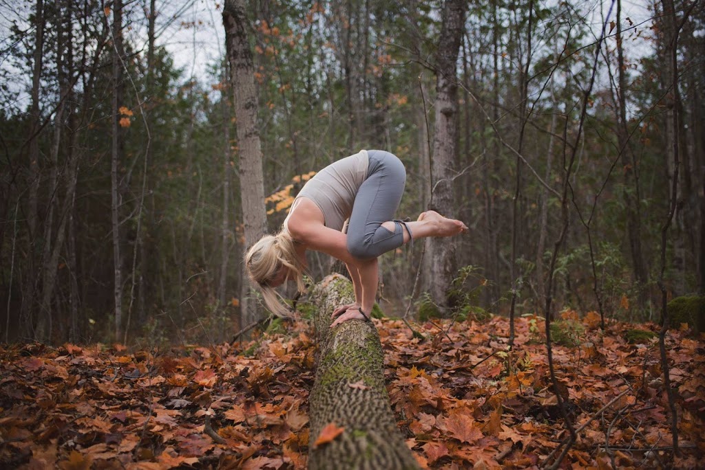 Yoga Attic | 1461 Erbmill Ln, Metcalfe, ON K0A 2P0, Canada | Phone: (613) 292-6044