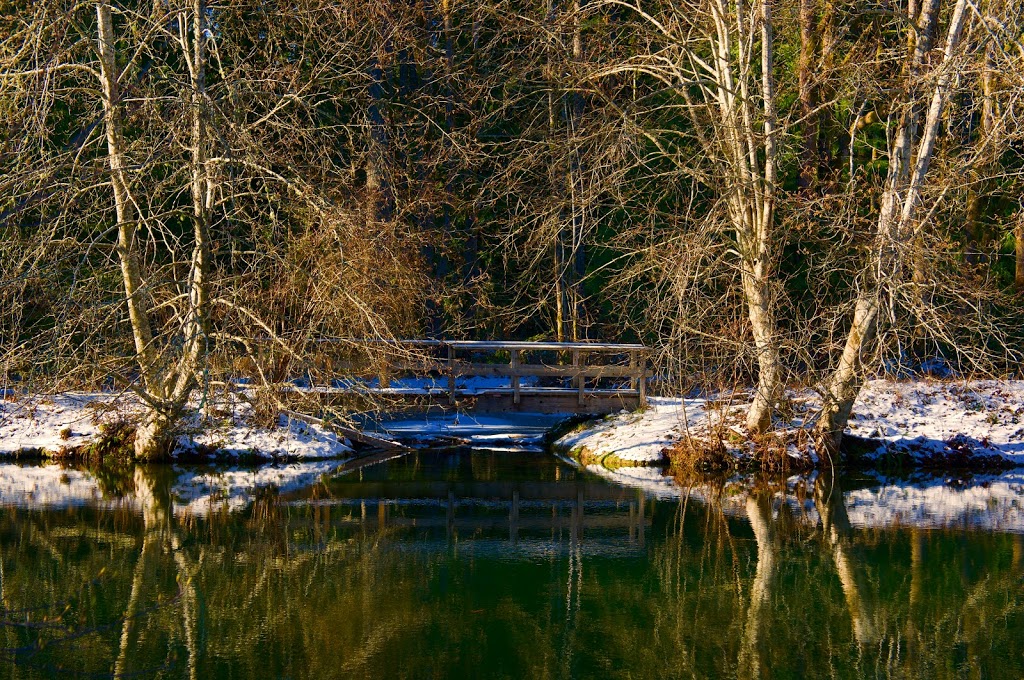 Nanaimo River Hatchery | 2775 Rugby Rd, Nanaimo, BC V9X 1T2, Canada