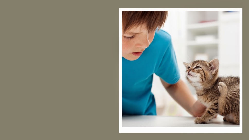Copperfield Veterinary Hospital | 15566 McIvor Blvd SE, Calgary, AB T2Z 4Y2, Canada | Phone: (403) 532-9192