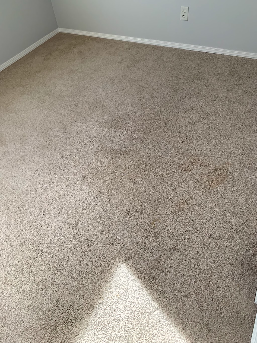 4CJ Carpet Cleaning Ltd | 6 Baywater Cape SW, Airdrie, AB T4B 0B3, Canada | Phone: (403) 397-4776