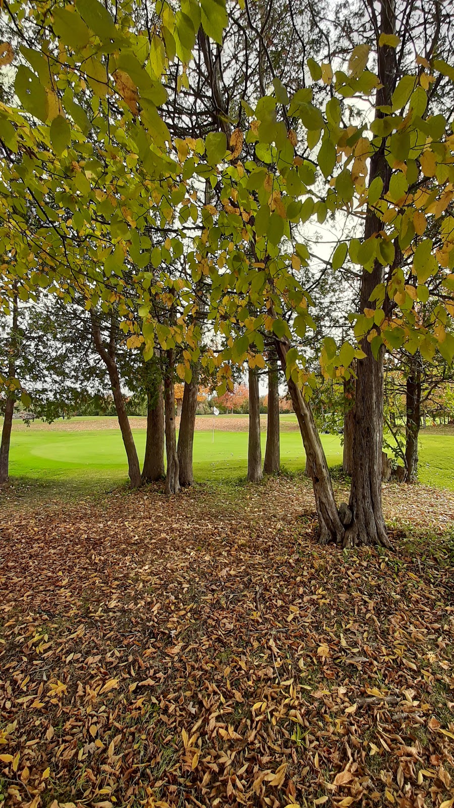 Richmond Centennial Golf Course | 3797 Joys Rd, Richmond, ON K0A 2Z0, Canada | Phone: (613) 838-4791
