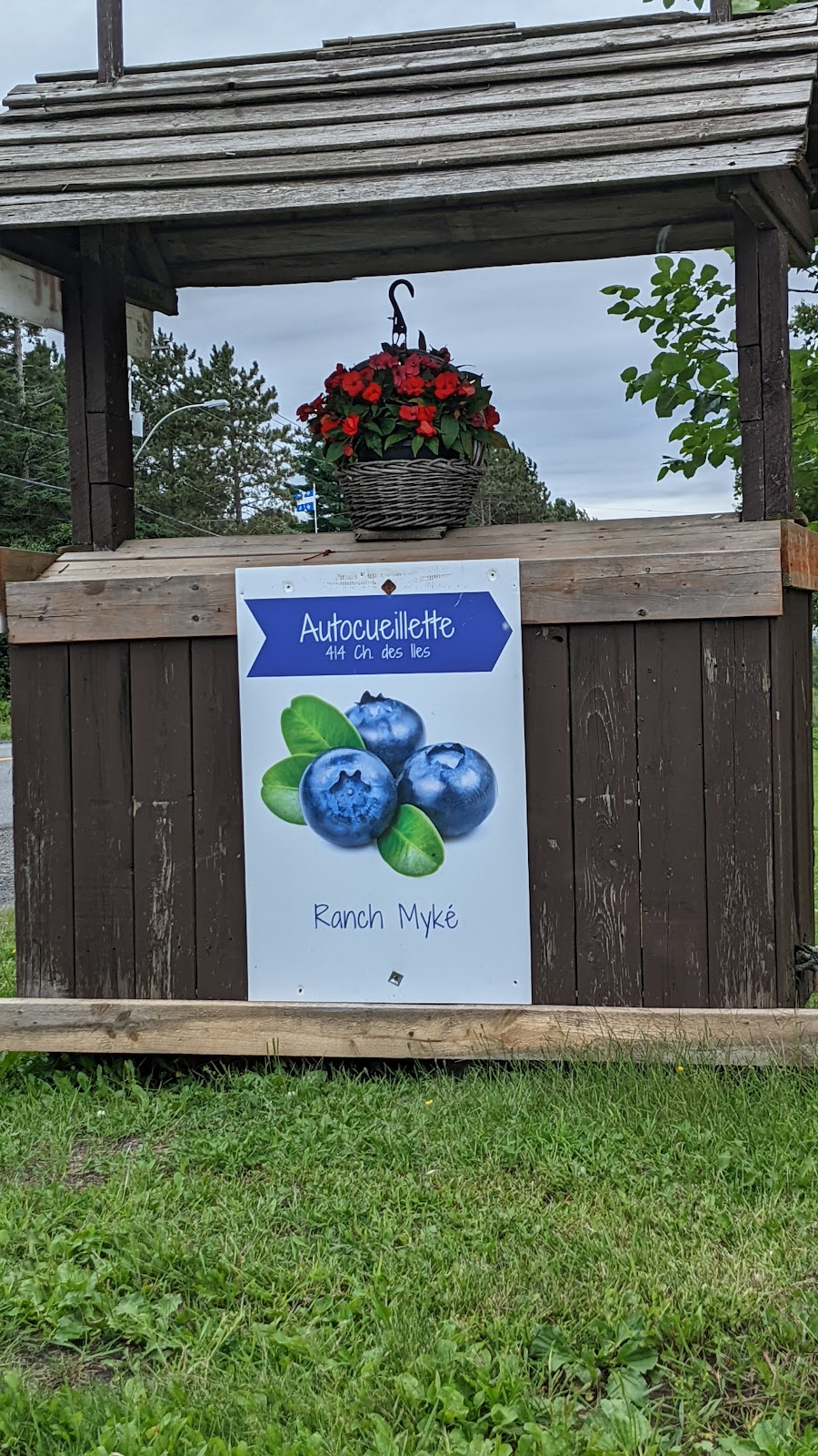 Ranch et Jardins Myké, autocueillette de bleuets et pommes | 414 Chem. des Îles, Pintendre, QC G6C 7M5, Canada | Phone: (418) 839-0207