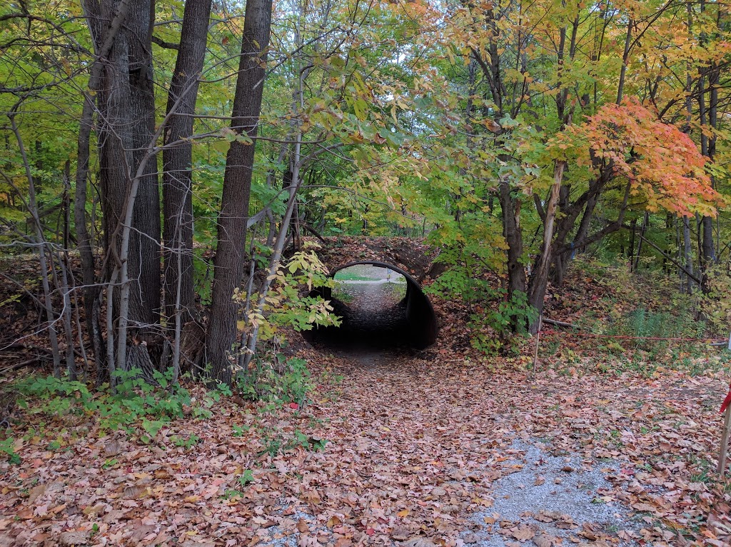 Hardwood Ski and Bike | 402 Old Barrie Rd W, Oro-Medonte, ON L0L 2E0, Canada | Phone: (705) 487-3775
