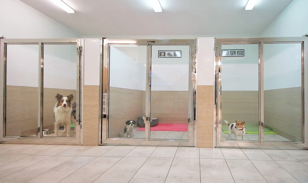 Pet Animal Domain | 437 Boulevard Thibeau, Trois-Rivières, QC G8T 6Y6, Canada | Phone: (819) 371-7707