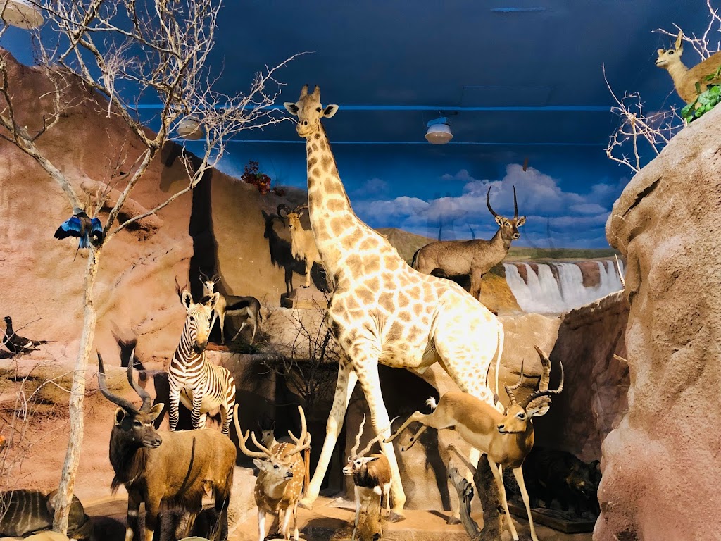 Sherman Hines Museum Of Photography | 205 Church St, Liverpool, NS B0T 1K0, Canada | Phone: (902) 354-3067