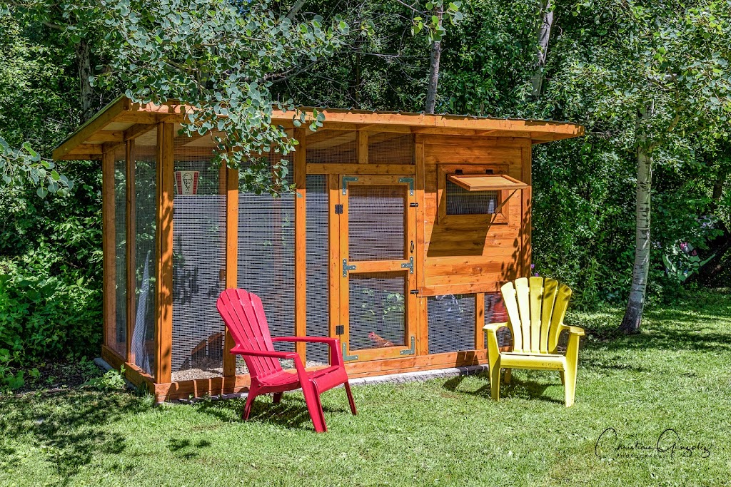 Center Canin Du Suroît | 1269 Rte Harwood, Vaudreuil-Dorion, QC J7V 8P2, Canada | Phone: (450) 455-3950