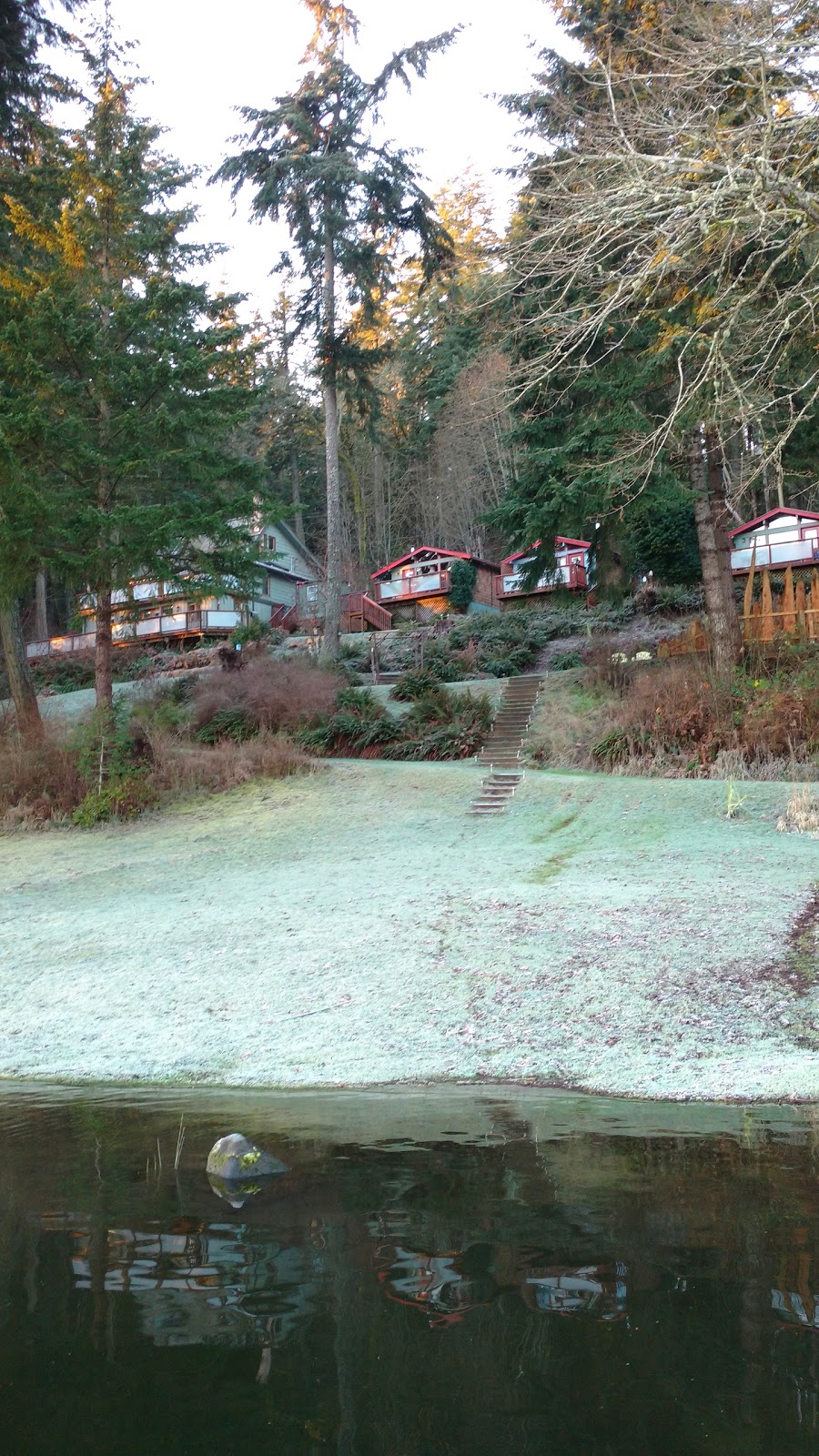 Maple Ridge Cottages | 301 Tripp Rd, Salt Spring Island, BC V8K 1K6, Canada | Phone: (250) 537-5977