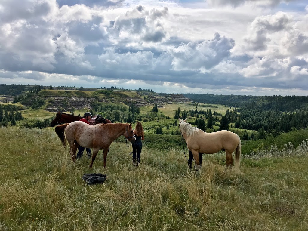 LaPrairieaire EcoTourism | RR1, Donalda, AB T0B 1H0, Canada | Phone: (403) 860-1313