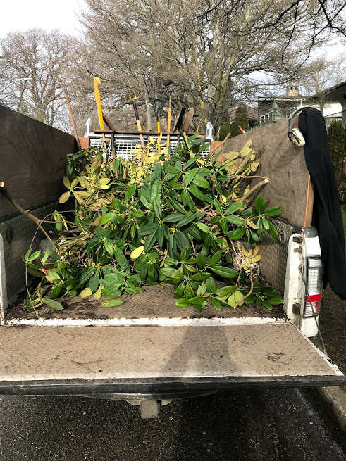 Roots By Ross Yard Maintenance & Services | 6033 Bear Hill Rd, Victoria, BC V9E 2J3, Canada | Phone: (250) 661-6014