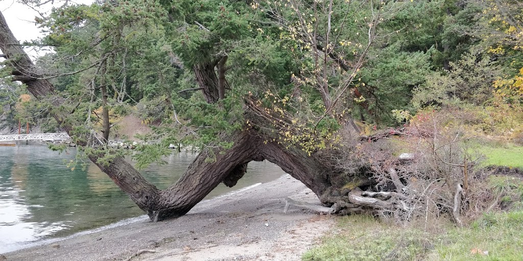 Thomson Park | 8-102 Quarry Ridge, Saturna, BC V0N 2Y0, Canada