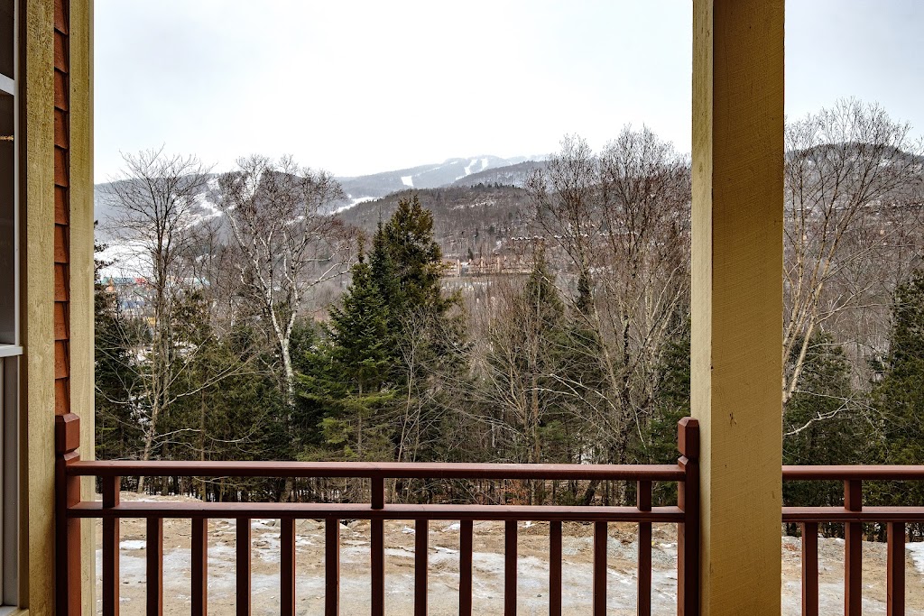 Comfy Buddy-Les-Eaux | 211 Chem. des Quatre-Sommets, Mont-Tremblant, QC J8E 1C6, Canada | Phone: (514) 910-4594