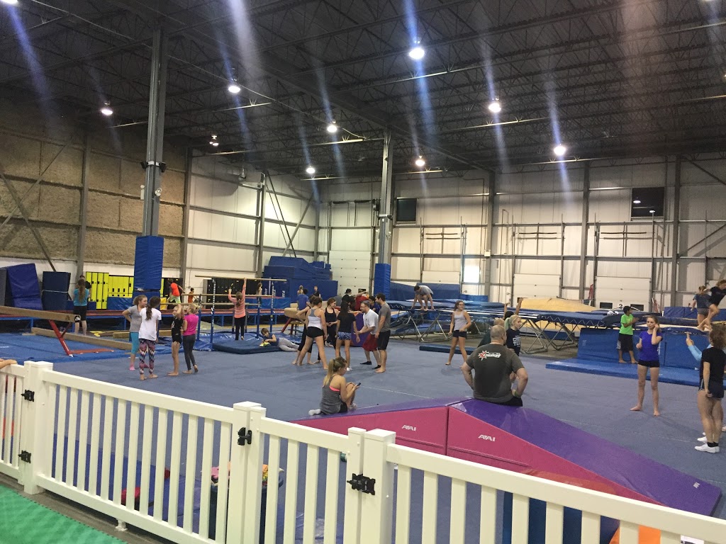 Phoenix Gymnastics Centre | 9704 12 Ave SW, Edmonton, AB T6X 0J4, Canada | Phone: (780) 438-0586