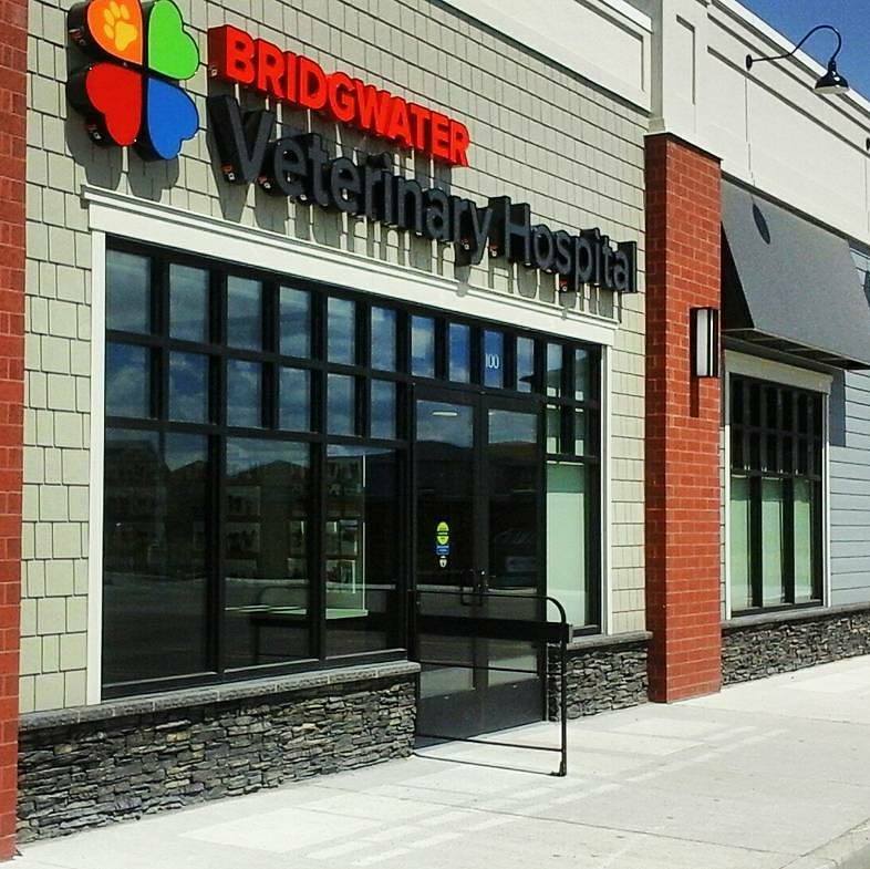 Bridgwater Veterinary Hospital & Wellness Center | 100-350 North Town Road, Winnipeg, MB R3Y 0Y4, Canada | Phone: (204) 452-0911