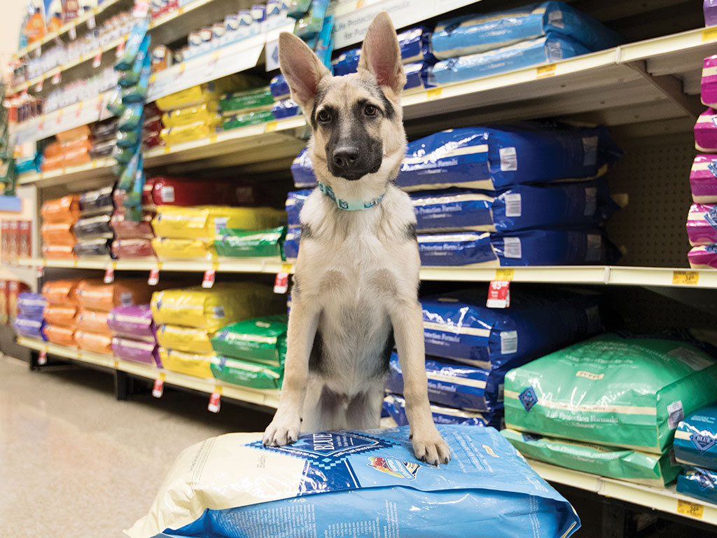 PetSmart | 80 Longview Common SE #610, Southeast Calgary, AB TaX 4S7, Canada | Phone: (825) 407-0030