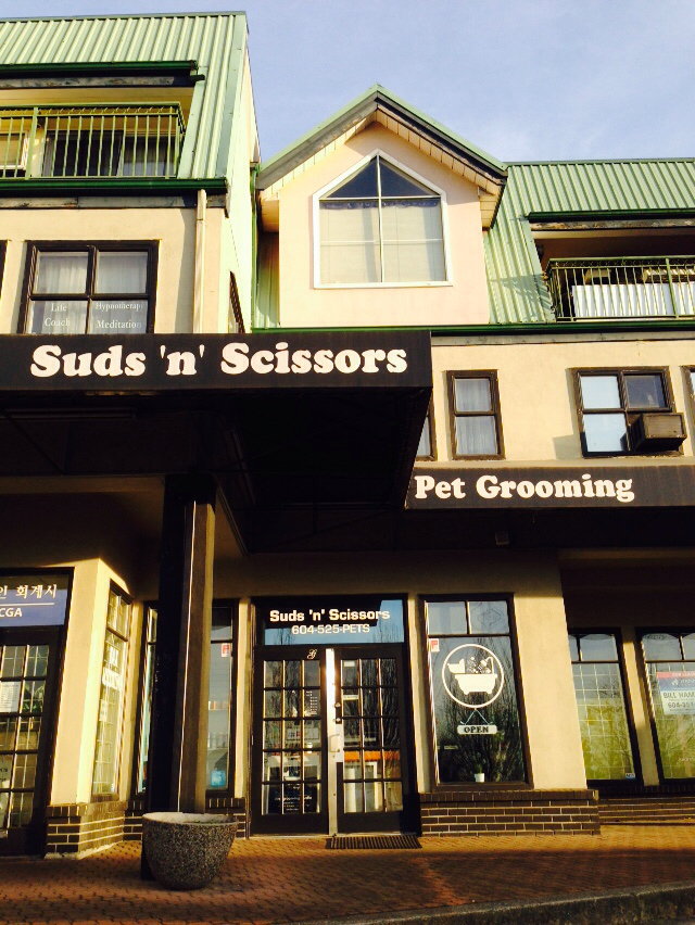 Suds n Scissors - Dog Grooming Studio | 931 Brunette Ave Unit G, Coquitlam, BC V3K 6T5, Canada | Phone: (604) 525-7387