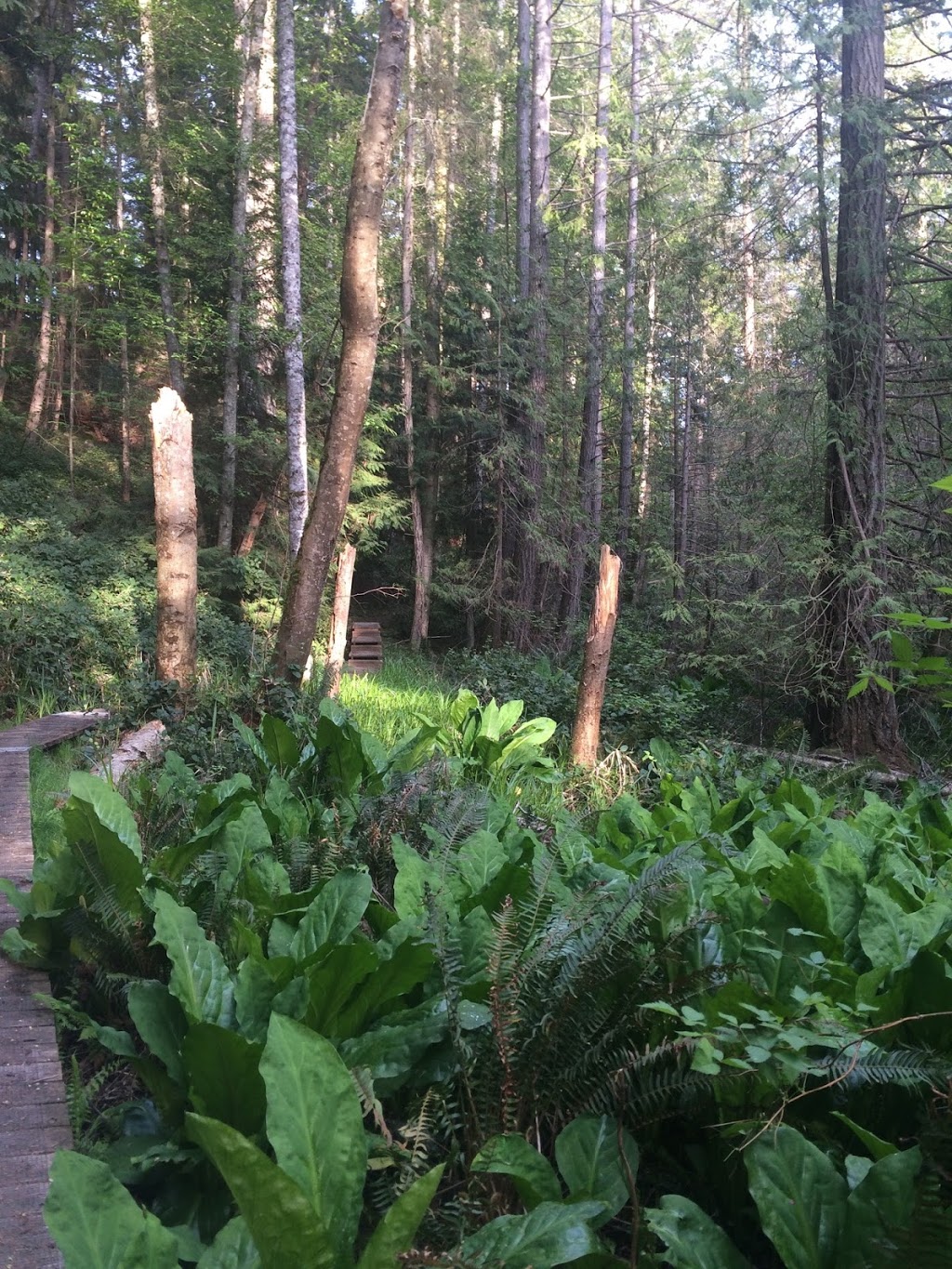 Capstan Lane Park | Pender Island, BC V0N 2M2, Canada