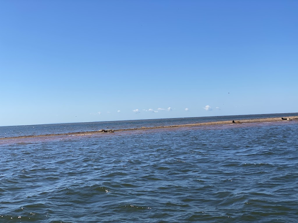 Adventures Marine zodiac Boat Tours | Dock A Charlottetown Yacht Club 2 Pr, Charlottetown, PE C1A 4J6, Canada | Phone: (902) 916-9940