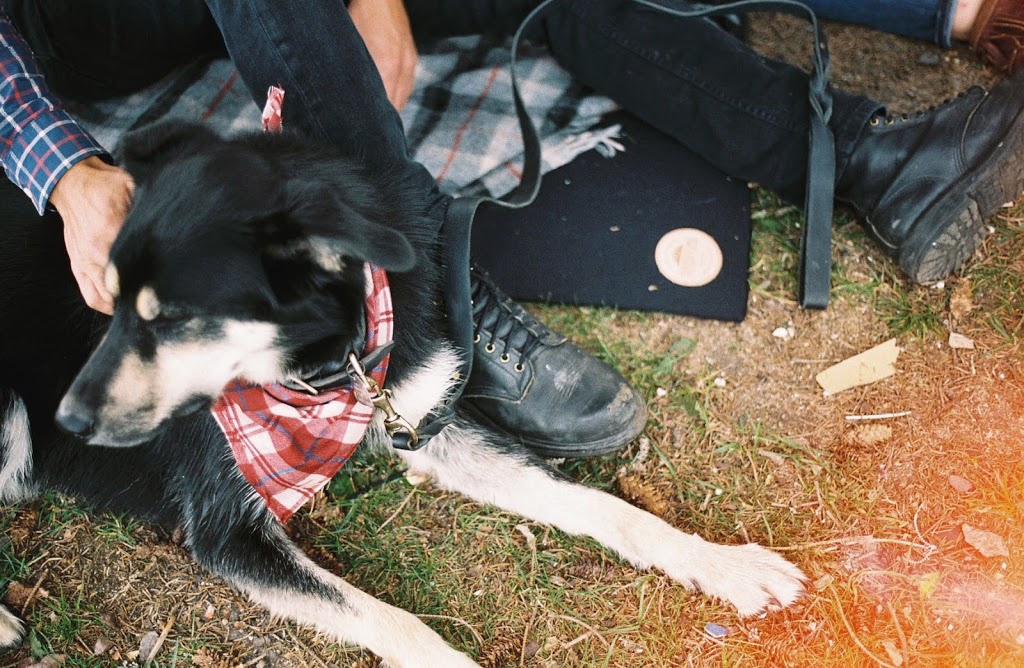 Handsome Mountain Pet Supplies | 555 Prometheus Pl, Bowen Island, BC V0N 1G2, Canada