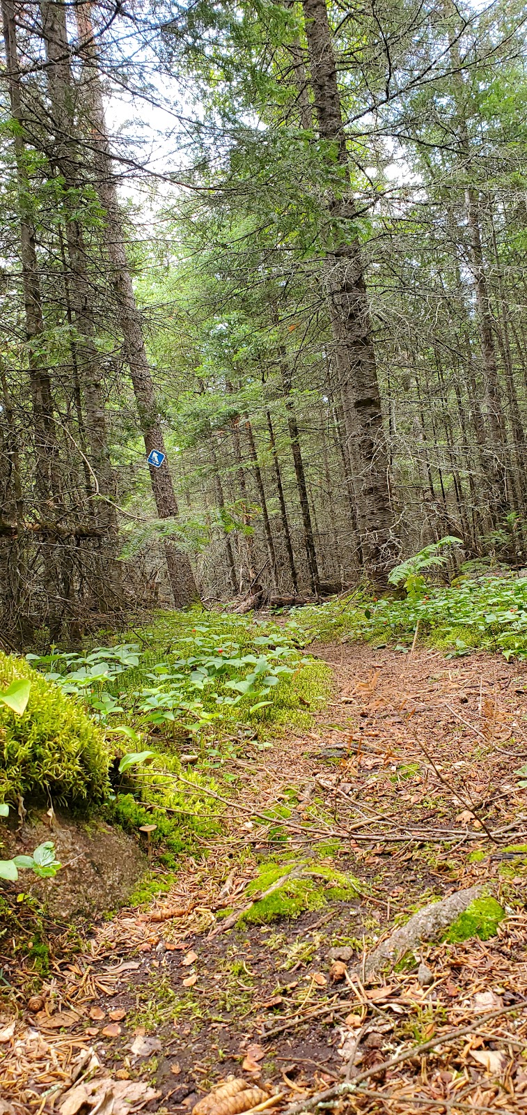 Whiteshell River Self-guiding Trail | MB-312, Whiteshell, MB R0E 2H0, Canada | Phone: (204) 369-3157