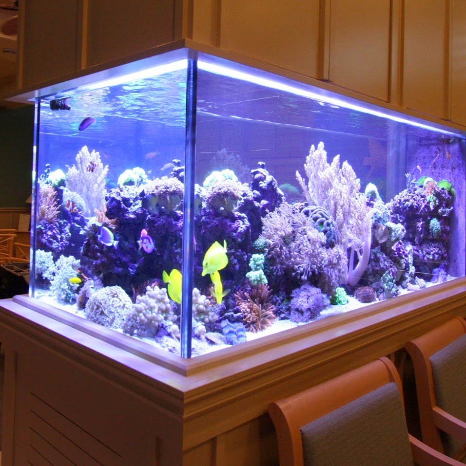 Burlington Aquariums | 4253 Price Ct, Burlington, ON L7M 4X3, Canada | Phone: (905) 466-7127