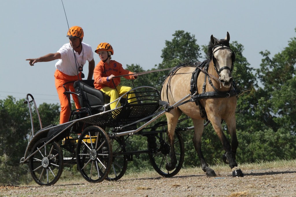 Horse Taxi | 3054 Houlgrave Rd, Invermere, BC V0A 1K5, Canada | Phone: (250) 342-1270